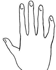 Иллюстрация к книге — Жизнь на ладони. Хиромантия как инструмент самопознания [i_020.jpg]