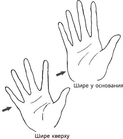 Иллюстрация к книге — Жизнь на ладони. Хиромантия как инструмент самопознания [i_026.jpg]