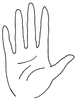 Иллюстрация к книге — Жизнь на ладони. Хиромантия как инструмент самопознания [i_027.jpg]