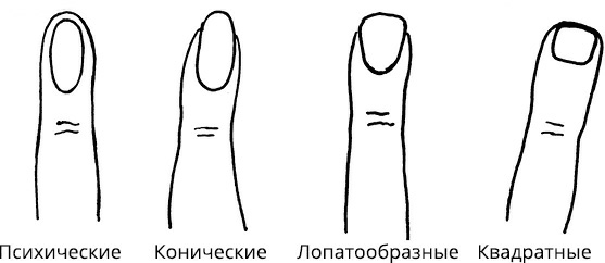 Иллюстрация к книге — Жизнь на ладони. Хиромантия как инструмент самопознания [i_031.jpg]