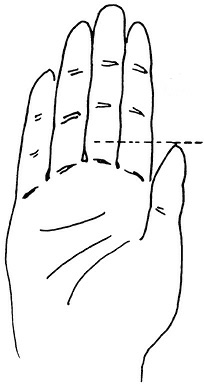 Иллюстрация к книге — Жизнь на ладони. Хиромантия как инструмент самопознания [i_032.jpg]