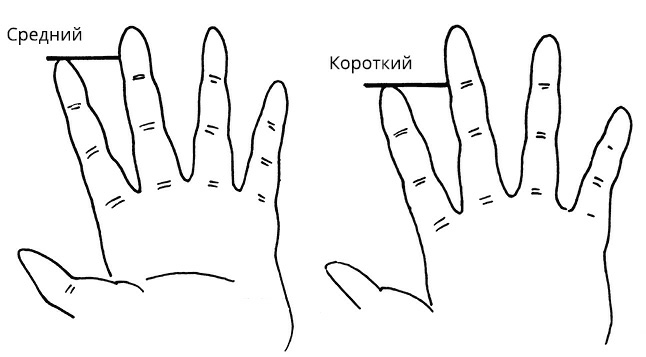 Иллюстрация к книге — Жизнь на ладони. Хиромантия как инструмент самопознания [i_035.jpg]