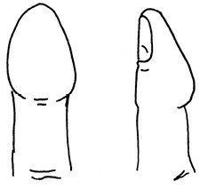 Иллюстрация к книге — Жизнь на ладони. Хиромантия как инструмент самопознания [i_041.jpg]