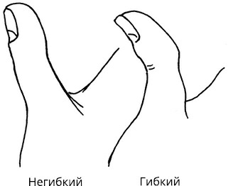 Иллюстрация к книге — Жизнь на ладони. Хиромантия как инструмент самопознания [i_042.jpg]