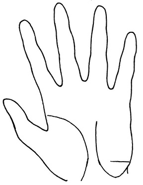 Иллюстрация к книге — Жизнь на ладони. Хиромантия как инструмент самопознания [i_049.jpg]