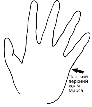 Иллюстрация к книге — Жизнь на ладони. Хиромантия как инструмент самопознания [i_051.jpg]