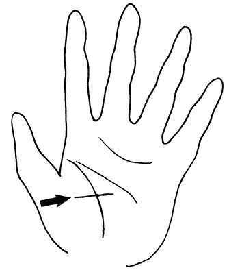 Иллюстрация к книге — Жизнь на ладони. Хиромантия как инструмент самопознания [i_056.jpg]