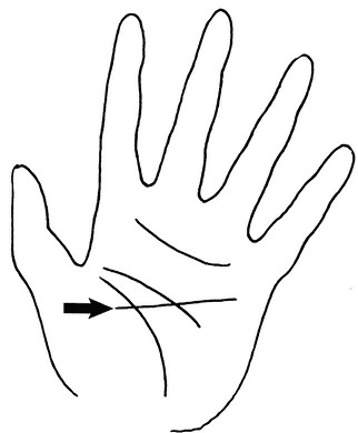 Иллюстрация к книге — Жизнь на ладони. Хиромантия как инструмент самопознания [i_057.jpg]