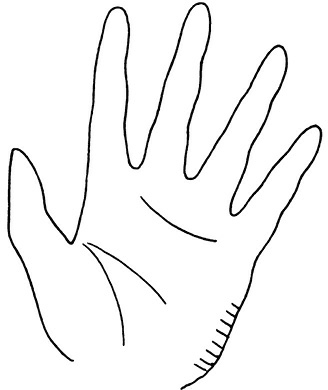 Иллюстрация к книге — Жизнь на ладони. Хиромантия как инструмент самопознания [i_058.jpg]