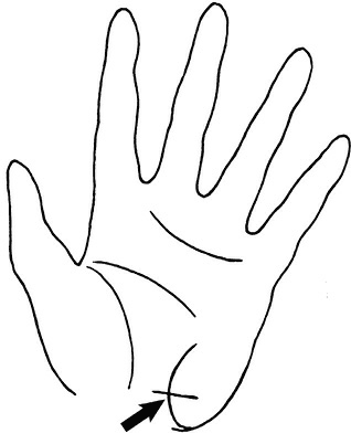 Иллюстрация к книге — Жизнь на ладони. Хиромантия как инструмент самопознания [i_059.jpg]