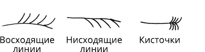 Иллюстрация к книге — Жизнь на ладони. Хиромантия как инструмент самопознания [i_064.jpg]
