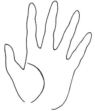 Иллюстрация к книге — Жизнь на ладони. Хиромантия как инструмент самопознания [i_068.jpg]