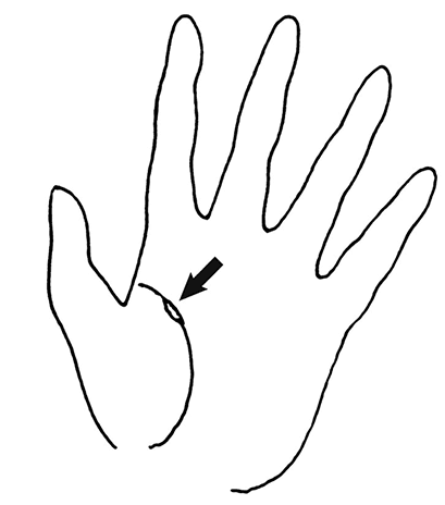 Иллюстрация к книге — Жизнь на ладони. Хиромантия как инструмент самопознания [i_076.jpg]