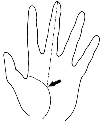 Иллюстрация к книге — Жизнь на ладони. Хиромантия как инструмент самопознания [i_079.jpg]