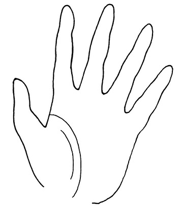 Иллюстрация к книге — Жизнь на ладони. Хиромантия как инструмент самопознания [i_085.jpg]