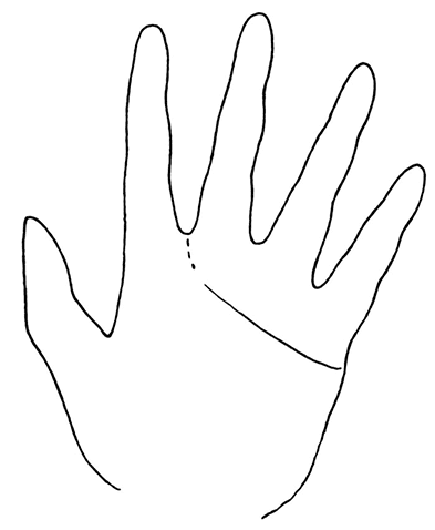 Иллюстрация к книге — Жизнь на ладони. Хиромантия как инструмент самопознания [i_090.jpg]