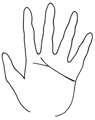 Иллюстрация к книге — Жизнь на ладони. Хиромантия как инструмент самопознания [i_093.jpg]