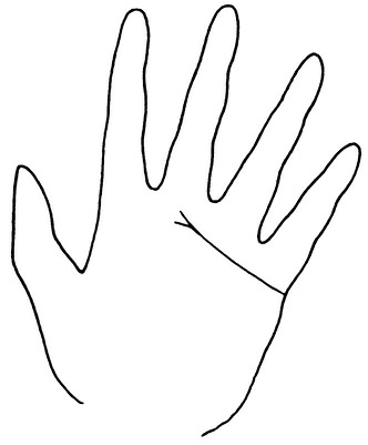 Иллюстрация к книге — Жизнь на ладони. Хиромантия как инструмент самопознания [i_094.jpg]