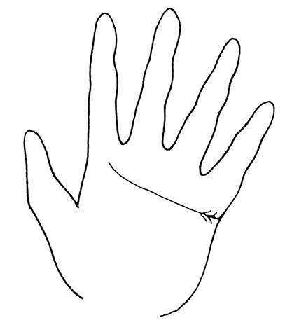 Иллюстрация к книге — Жизнь на ладони. Хиромантия как инструмент самопознания [i_096.jpg]