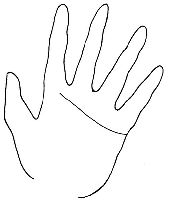 Иллюстрация к книге — Жизнь на ладони. Хиромантия как инструмент самопознания [i_098.jpg]