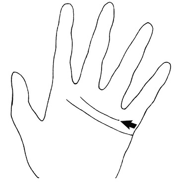 Иллюстрация к книге — Жизнь на ладони. Хиромантия как инструмент самопознания [i_100.jpg]