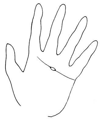 Иллюстрация к книге — Жизнь на ладони. Хиромантия как инструмент самопознания [i_102.jpg]