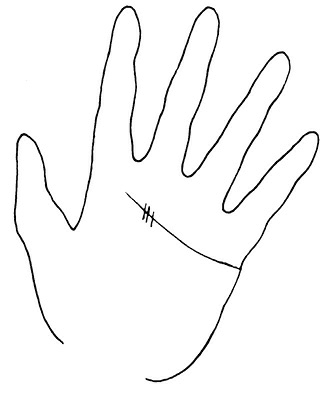 Иллюстрация к книге — Жизнь на ладони. Хиромантия как инструмент самопознания [i_103.jpg]