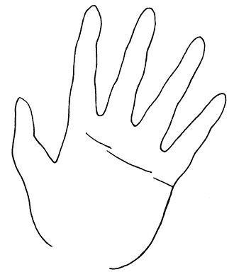 Иллюстрация к книге — Жизнь на ладони. Хиромантия как инструмент самопознания [i_104.jpg]