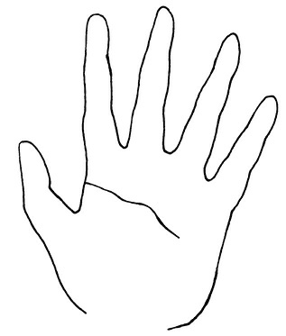 Иллюстрация к книге — Жизнь на ладони. Хиромантия как инструмент самопознания [i_106.jpg]