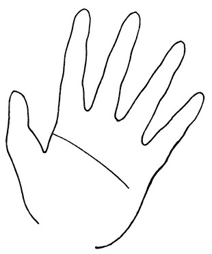 Иллюстрация к книге — Жизнь на ладони. Хиромантия как инструмент самопознания [i_107.jpg]