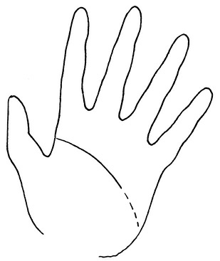 Иллюстрация к книге — Жизнь на ладони. Хиромантия как инструмент самопознания [i_108.jpg]