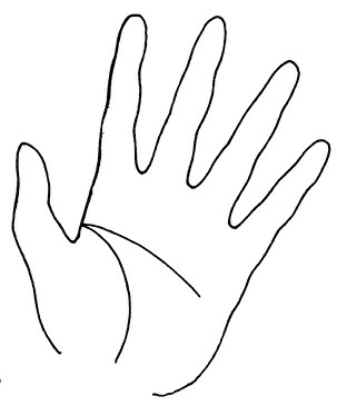 Иллюстрация к книге — Жизнь на ладони. Хиромантия как инструмент самопознания [i_111.jpg]