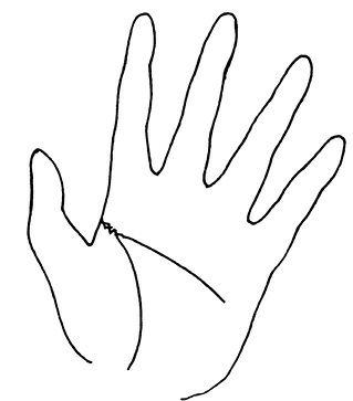 Иллюстрация к книге — Жизнь на ладони. Хиромантия как инструмент самопознания [i_112.jpg]