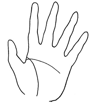 Иллюстрация к книге — Жизнь на ладони. Хиромантия как инструмент самопознания [i_113.jpg]