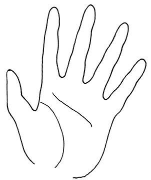 Иллюстрация к книге — Жизнь на ладони. Хиромантия как инструмент самопознания [i_114.jpg]