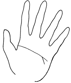 Иллюстрация к книге — Жизнь на ладони. Хиромантия как инструмент самопознания [i_115.jpg]