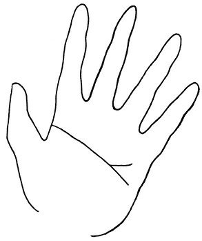 Иллюстрация к книге — Жизнь на ладони. Хиромантия как инструмент самопознания [i_117.jpg]