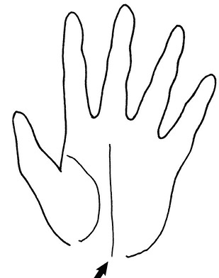 Иллюстрация к книге — Жизнь на ладони. Хиромантия как инструмент самопознания [i_121.jpg]