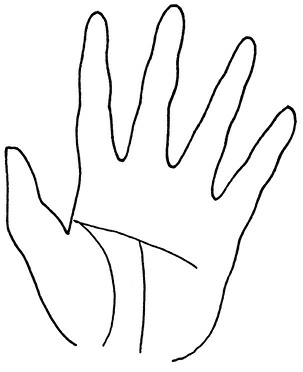 Иллюстрация к книге — Жизнь на ладони. Хиромантия как инструмент самопознания [i_122.jpg]