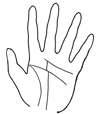 Иллюстрация к книге — Жизнь на ладони. Хиромантия как инструмент самопознания [i_123.jpg]