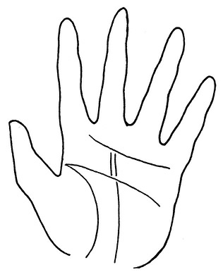 Иллюстрация к книге — Жизнь на ладони. Хиромантия как инструмент самопознания [i_124.jpg]