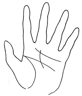 Иллюстрация к книге — Жизнь на ладони. Хиромантия как инструмент самопознания [i_125.jpg]