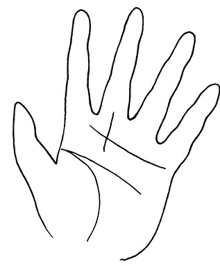 Иллюстрация к книге — Жизнь на ладони. Хиромантия как инструмент самопознания [i_127.jpg]