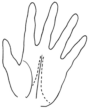 Иллюстрация к книге — Жизнь на ладони. Хиромантия как инструмент самопознания [i_128.jpg]