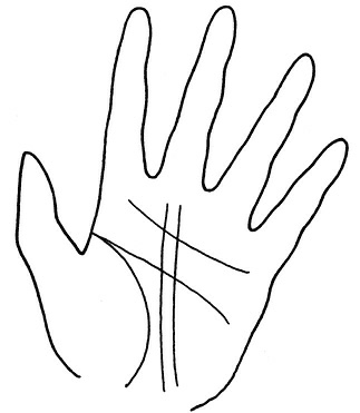 Иллюстрация к книге — Жизнь на ладони. Хиромантия как инструмент самопознания [i_131.jpg]