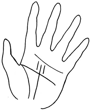 Иллюстрация к книге — Жизнь на ладони. Хиромантия как инструмент самопознания [i_133.jpg]