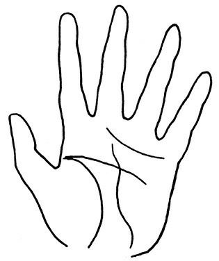 Иллюстрация к книге — Жизнь на ладони. Хиромантия как инструмент самопознания [i_135.jpg]