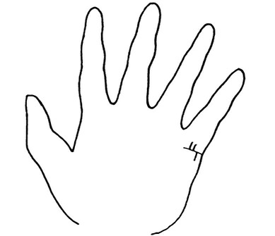 Иллюстрация к книге — Жизнь на ладони. Хиромантия как инструмент самопознания [i_142.jpg]