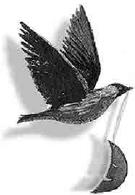 Иллюстрация к книге — Летающий цирк [i_036.jpg]