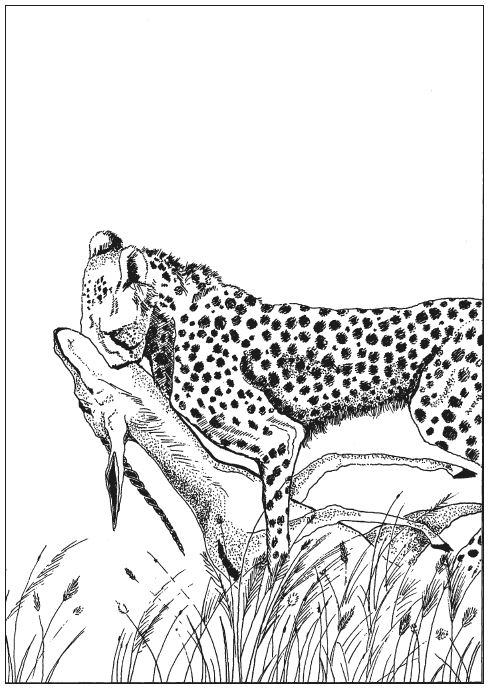 Иллюстрация к книге — Река, выходящая из Эдема. Жизнь с точки зрения дарвиниста [i_005.jpg]